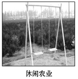 图片_x0020_100002