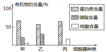 图片_x0020_466777739