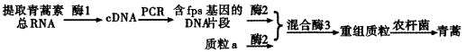 图片_x0020_100007