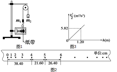 图片_x0020_893376004