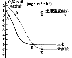 图片_x0020_100002