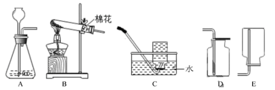 图片_x0020_2040333463