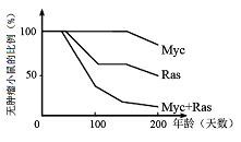 图片_x0020_1990056124