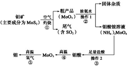 图片_x0020_100032