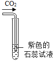 图片_x0020_100004