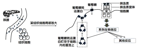 图片_x0020_100037