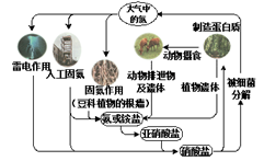 图片_x0020_100011