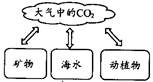 图片_x0020_1325198684