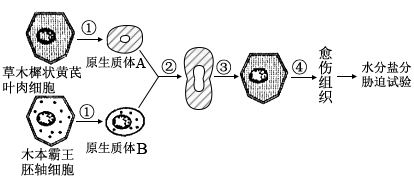 图片_x0020_130035346