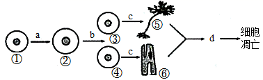 图片_x0020_100002