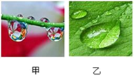 图片_x0020_100004