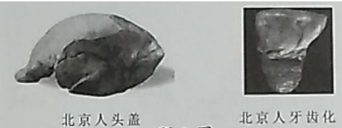 图片_x0020_100001