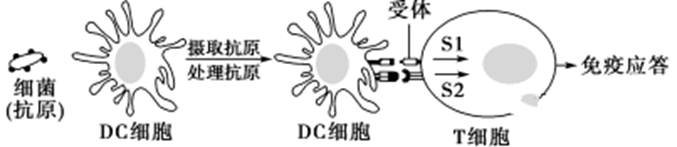 图片_x0020_100007