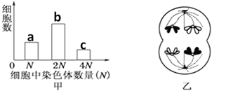 图片_x0020_1620140202