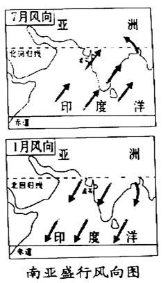 图片_x0020_100005