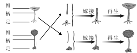 图片_x0020_100010