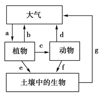 图片_x0020_705633086