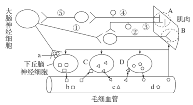 图片_x0020_100018