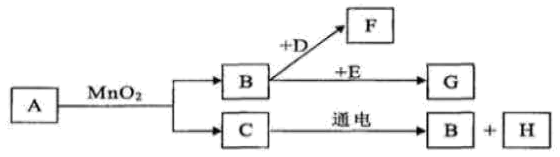 图片_x0020_100019