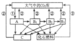 图片_x0020_1115724403