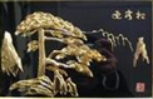 图片_x0020_100003