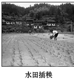 图片_x0020_100004