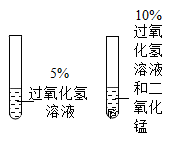 图片_x0020_100001