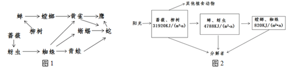 图片_x0020_100014