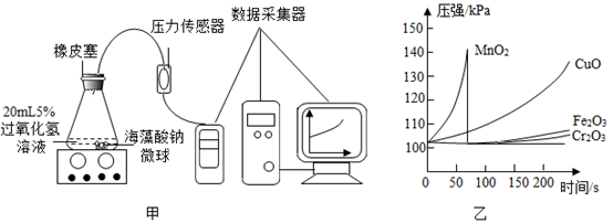 图片_x0020_365313125