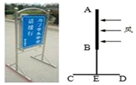 图片_x0020_100017