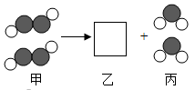 图片_x0020_2117811834
