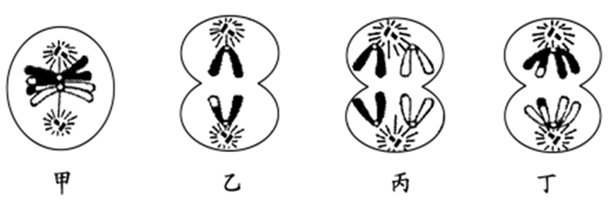 图片_x0020_100016