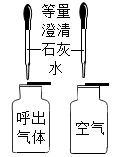图片_x0020_100017