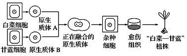 图片_x0020_100010