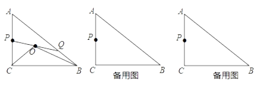 图片_x0020_11