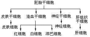 图片_x0020_587883214