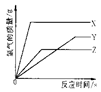 图片_x0020_100006