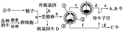 图片_x0020_1362114811