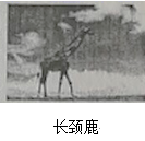 图片_x0020_100005