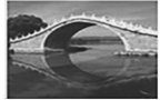 图片_x0020_100008