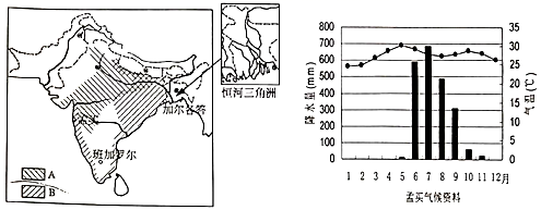 图片_x0020_100016