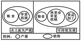 图片_x0020_100020