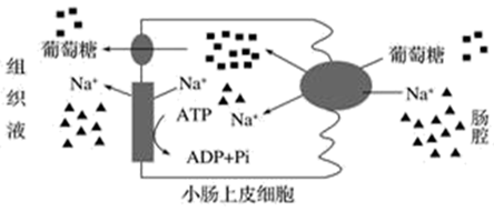 图片_x0020_100002