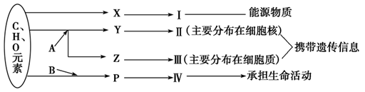 图片_x0020_100022