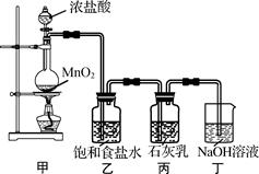 图片_x0020_100015