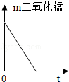 图片_x0020_1975154537