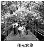 图片_x0020_642191952