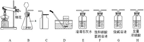 图片_x0020_1660716822