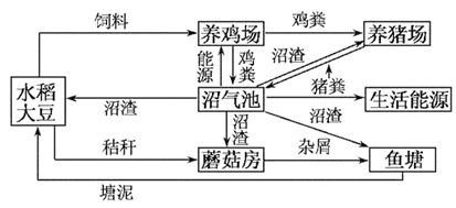 图片_x0020_1168418339