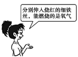图片_x0020_100010